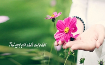 Đời người điều gì là quý nhất?